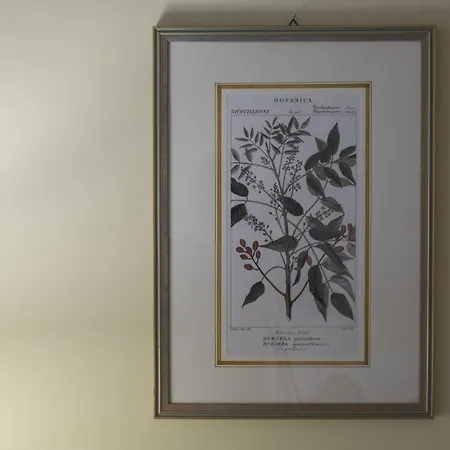 Elegantis Monti Royal With Private Terrace Daire